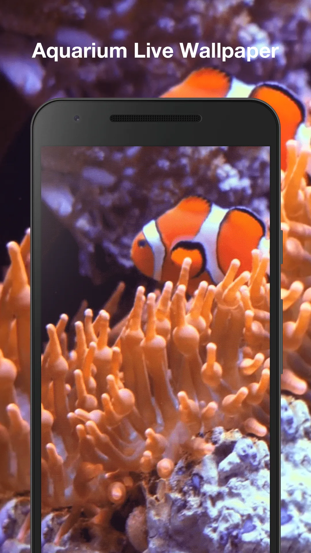 Aquarium Live Wallpaper | Indus Appstore | Screenshot