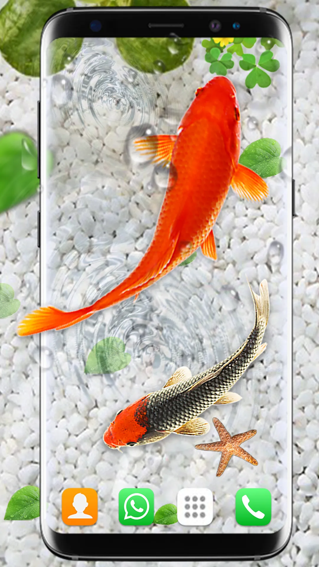 Koi Fish Live Wallpapers HD | Indus Appstore | Screenshot