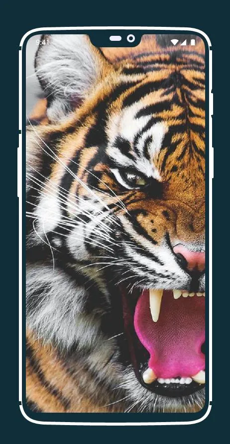 Tiger Wallpapers | Indus Appstore | Screenshot