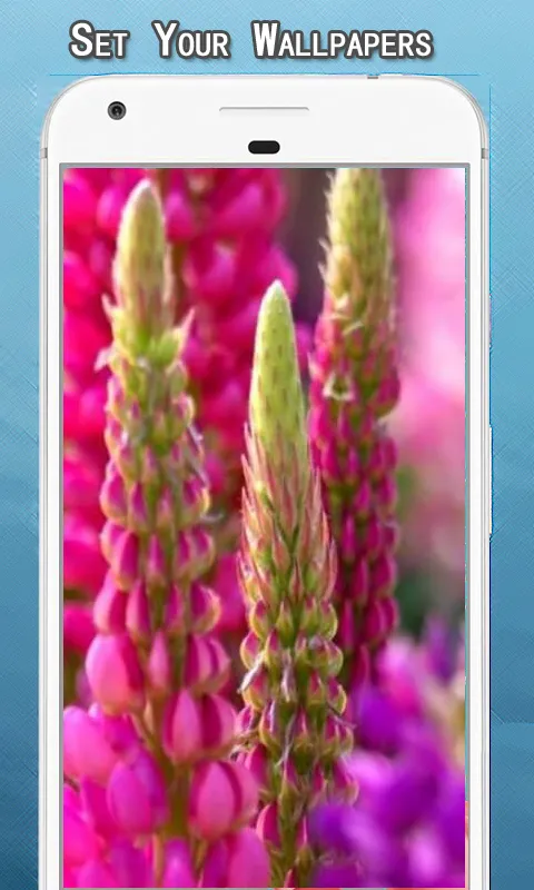 Spring Wallpapers Hd | Indus Appstore | Screenshot