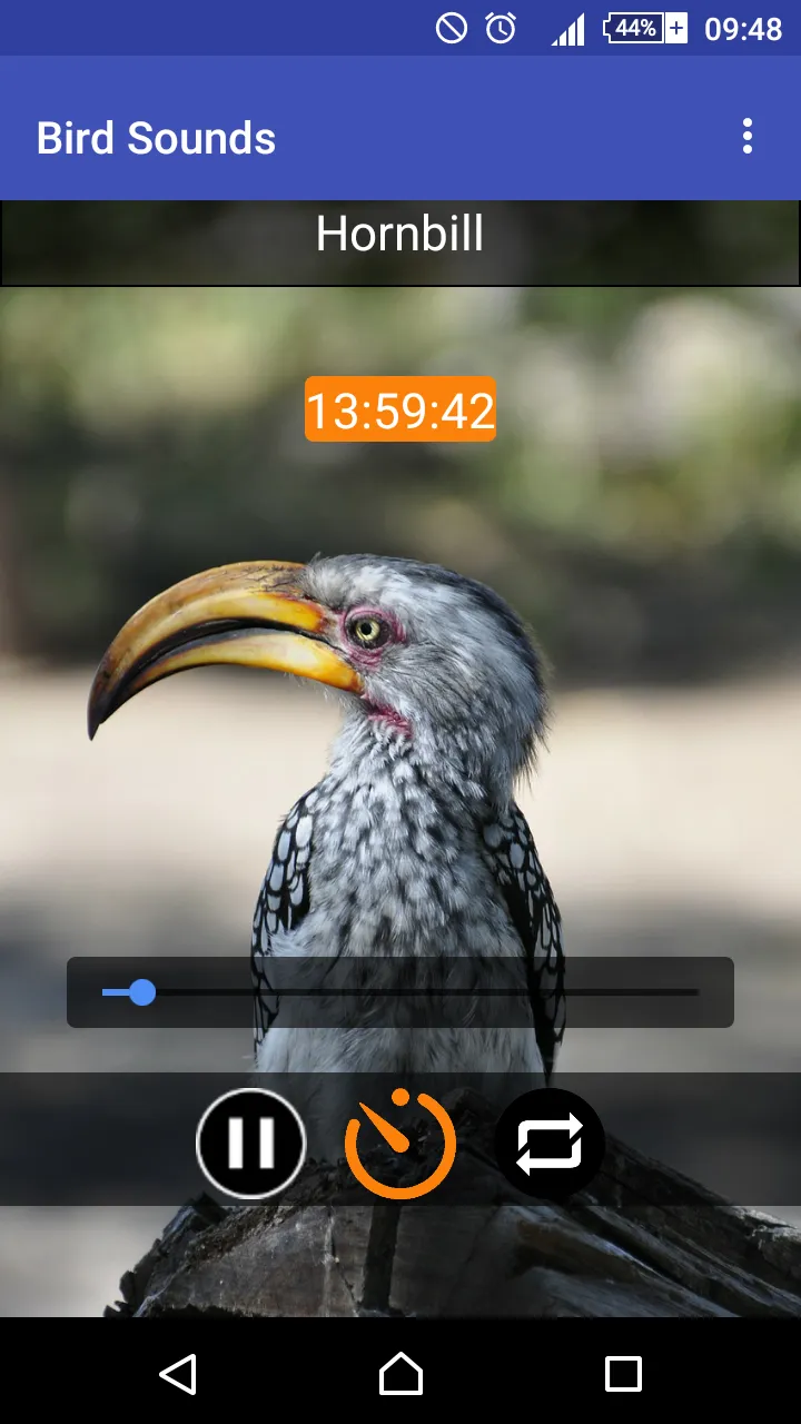 Relax & Sleep with Bird Sounds | Indus Appstore | Screenshot