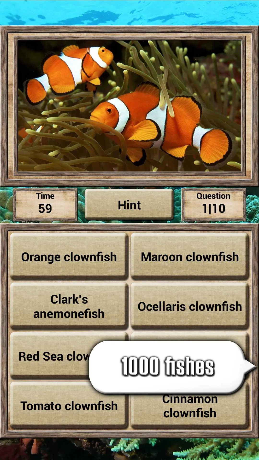 Animal Kingdom - Quiz Game | Indus Appstore | Screenshot
