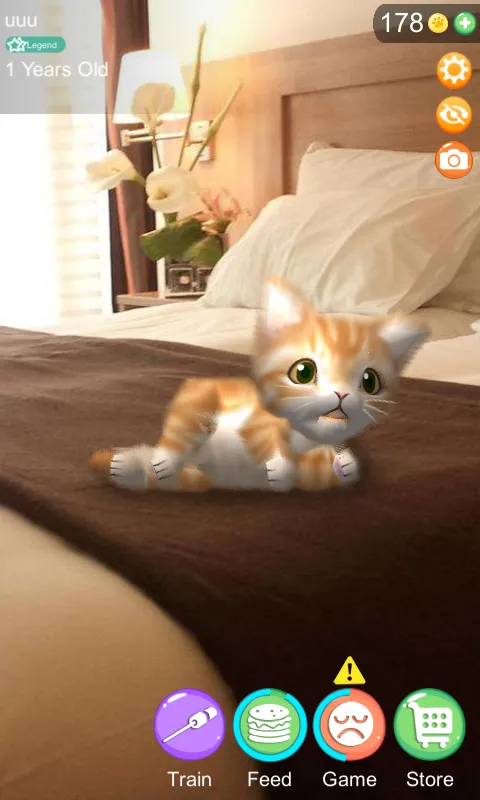 AR Cat | Indus Appstore | Screenshot