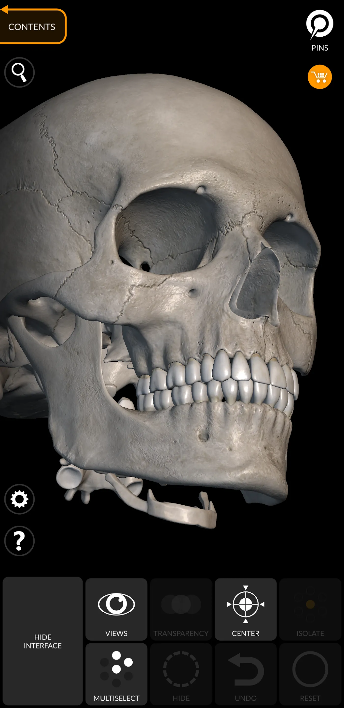 Skeleton | 3D Anatomy | Indus Appstore | Screenshot