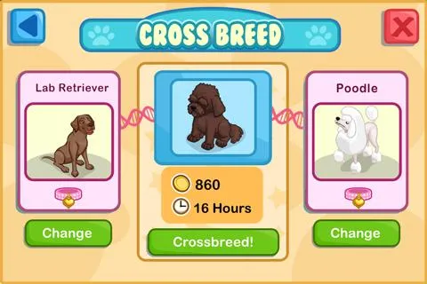 Pet Shop Story™ | Indus Appstore | Screenshot