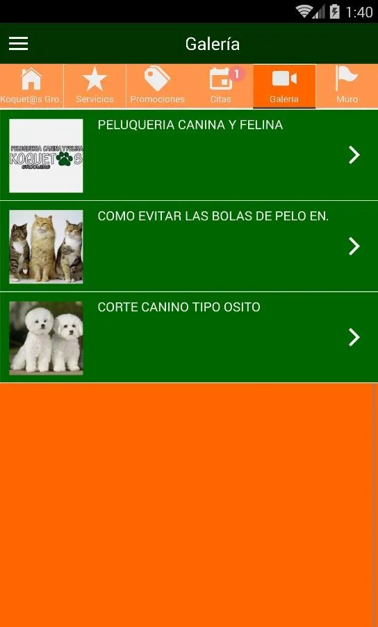 Koquetos Grooming | Indus Appstore | Screenshot