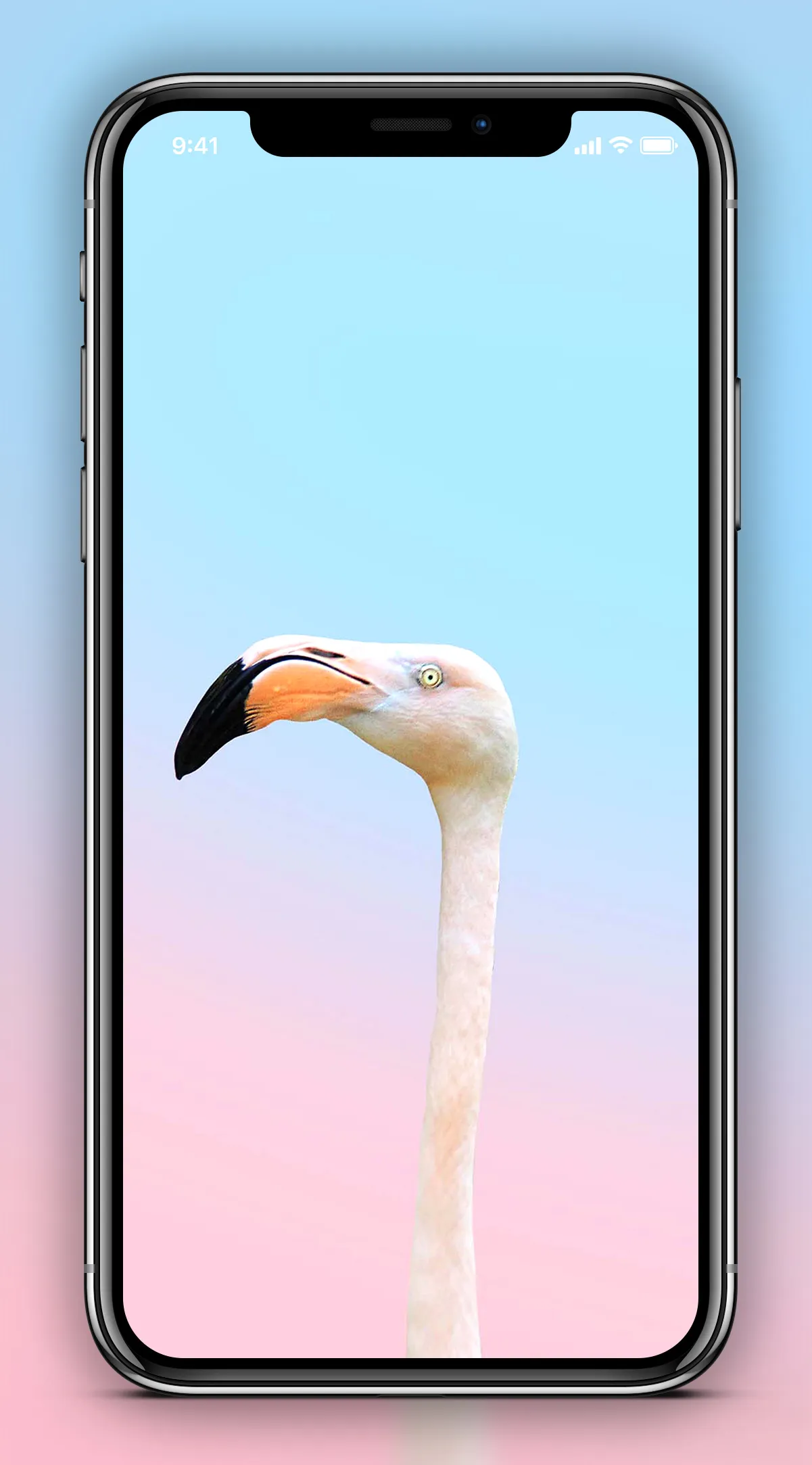 Pastel Wallpapers | Indus Appstore | Screenshot