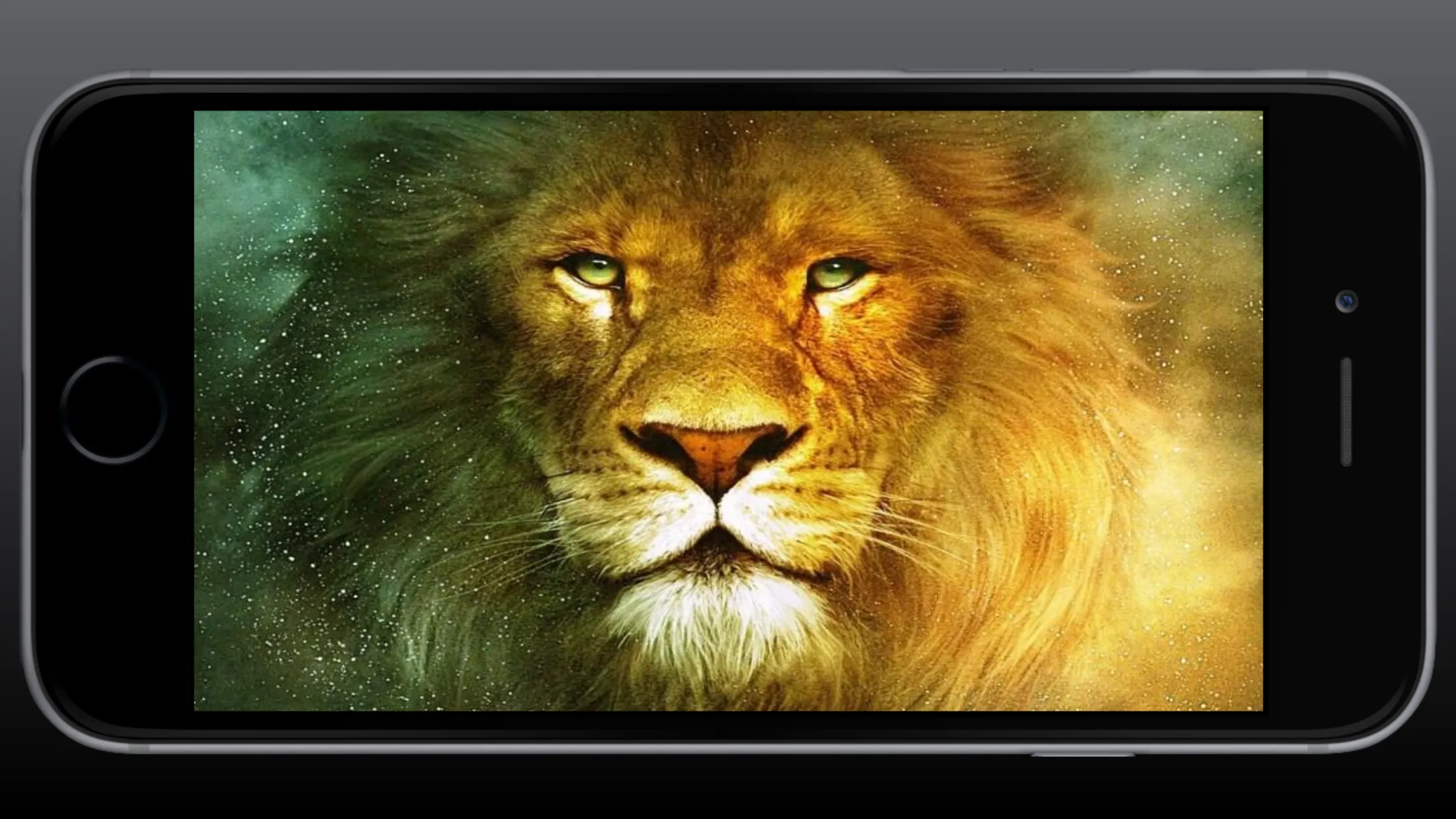 Lion Wallpaper | Indus Appstore | Screenshot