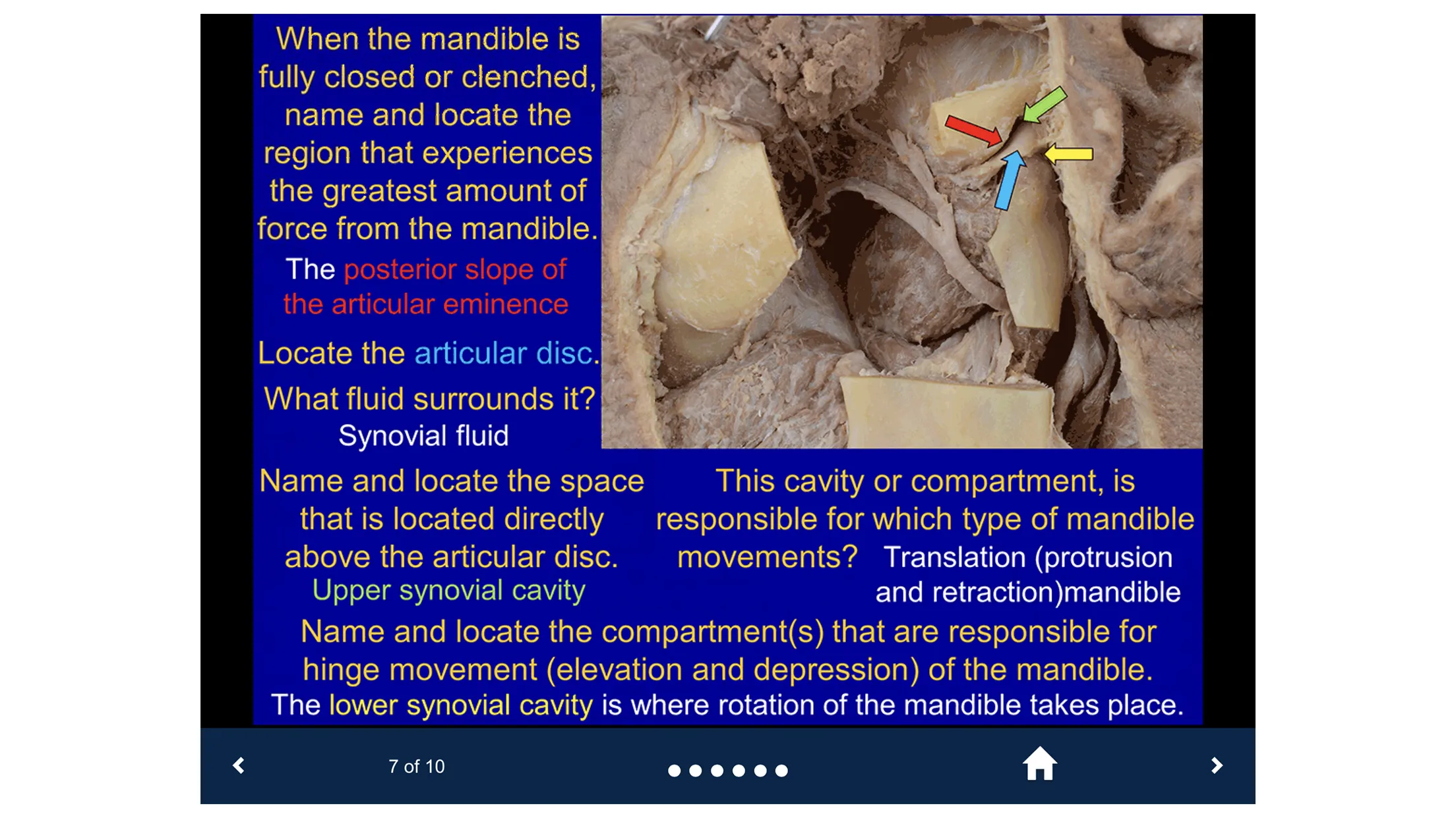 Head & Neck Anatomy-SecondLook | Indus Appstore | Screenshot