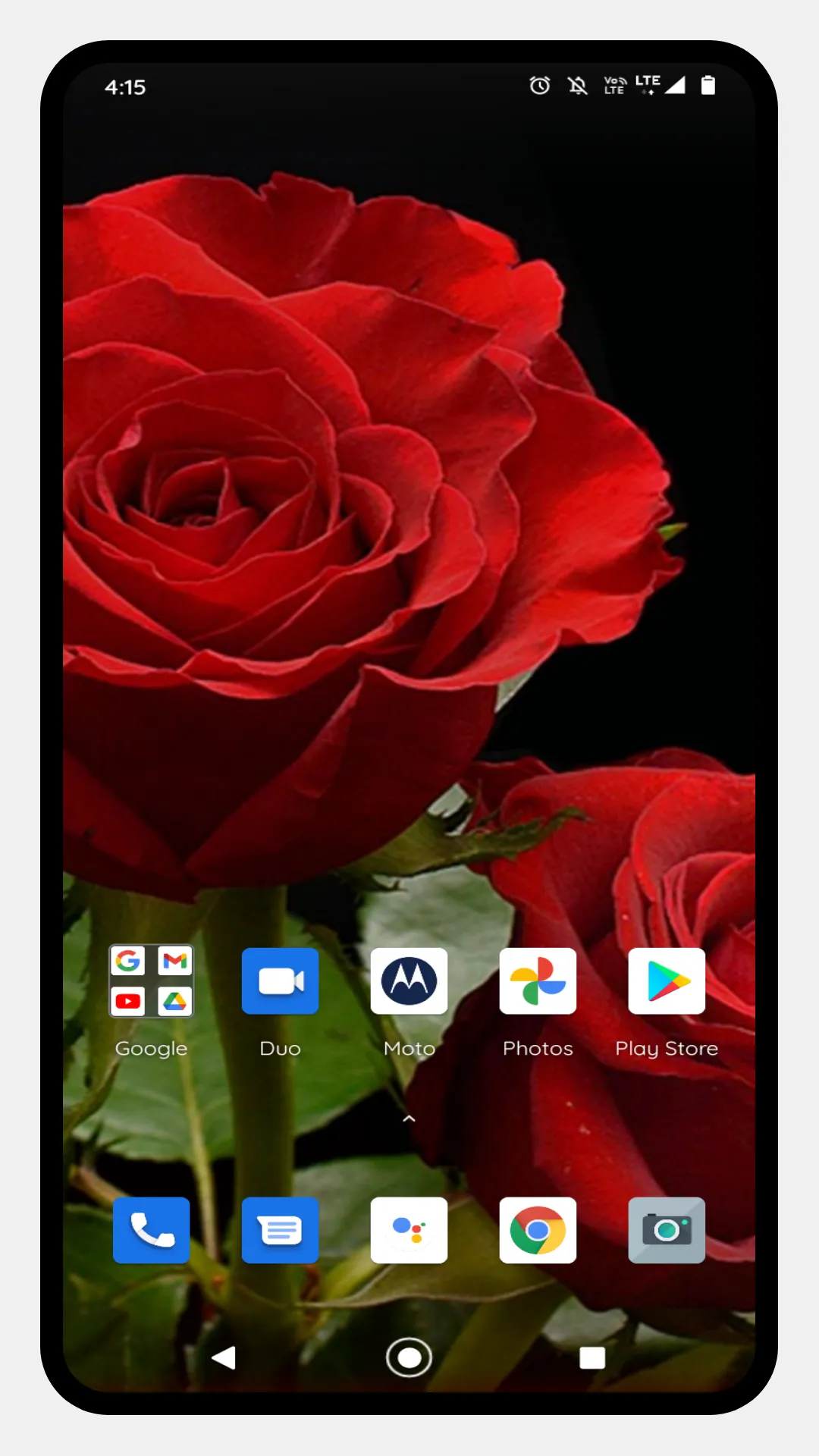 Red Rose HD Wallpapers | Indus Appstore | Screenshot