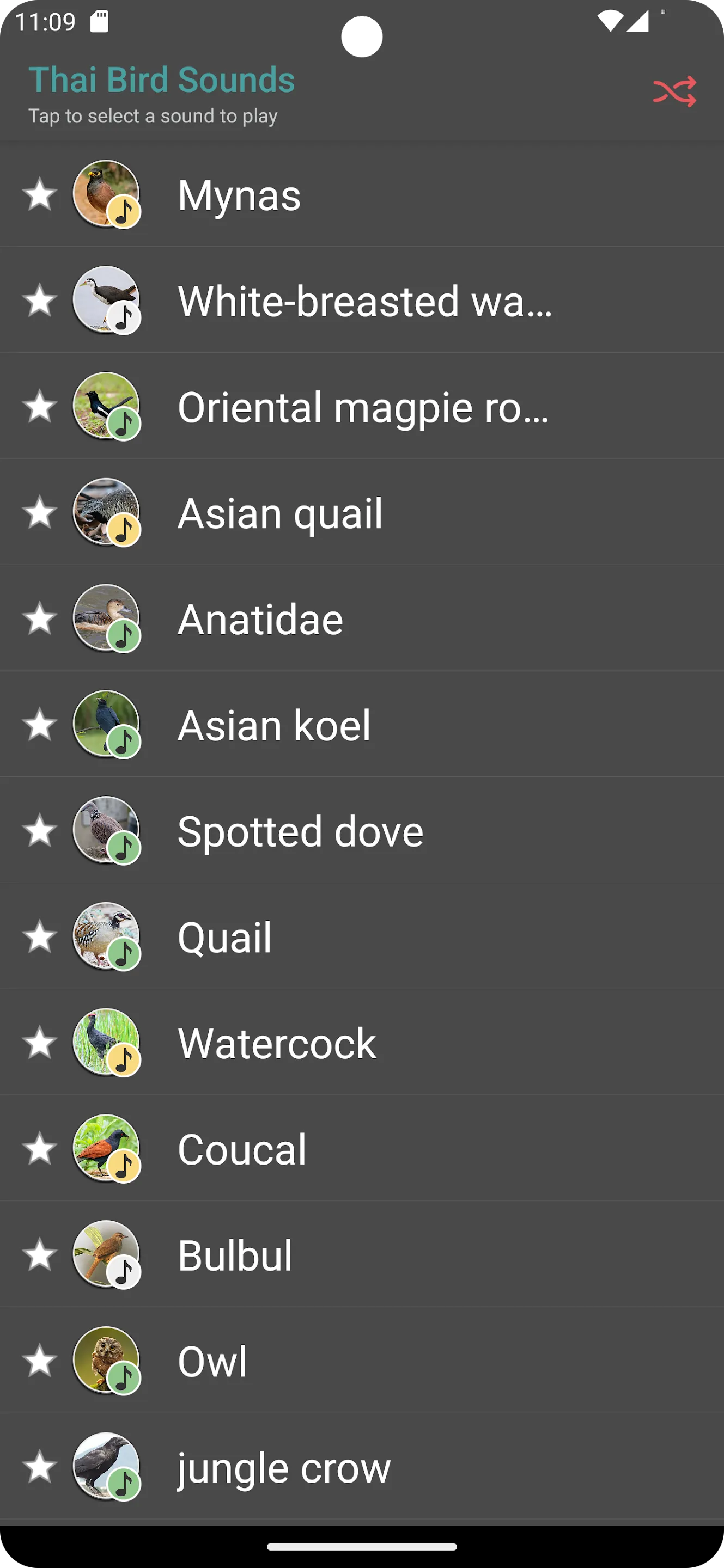 Thai Bird Sounds | Indus Appstore | Screenshot