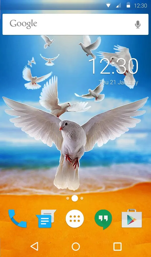 Doves Live Wallpaper Theme | Indus Appstore | Screenshot