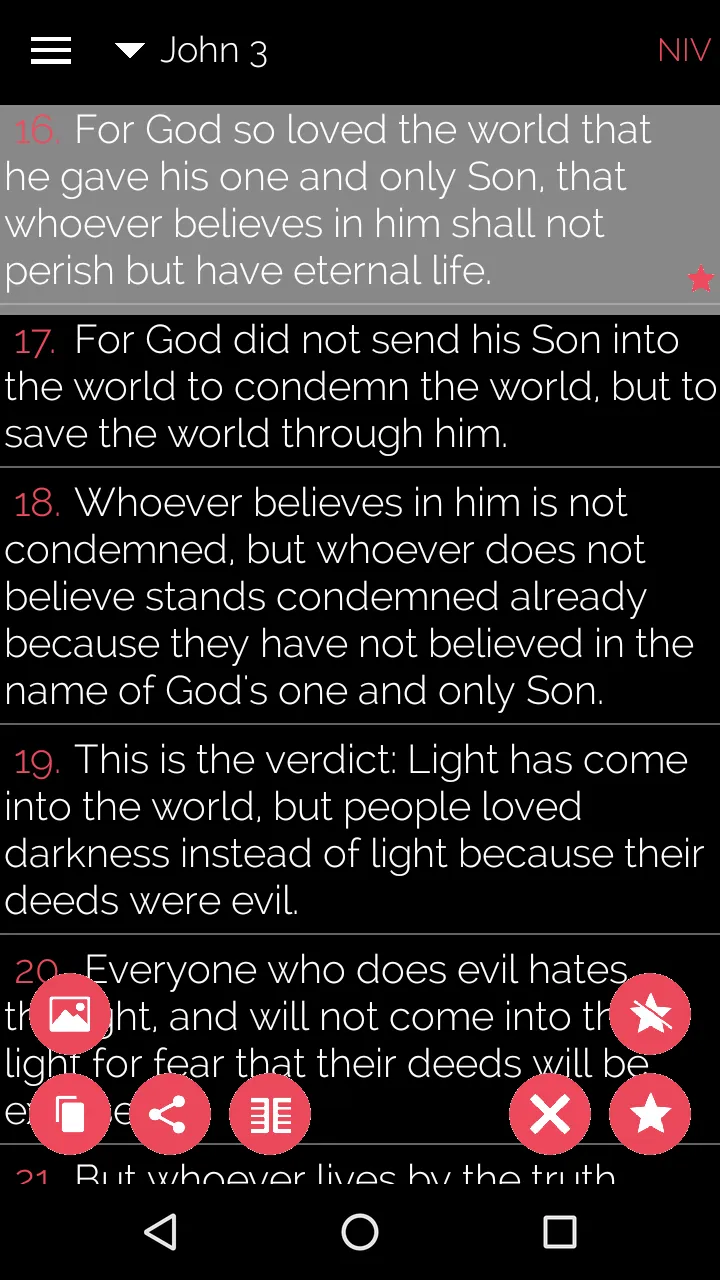 Bible Salvation Jn316 | Indus Appstore | Screenshot