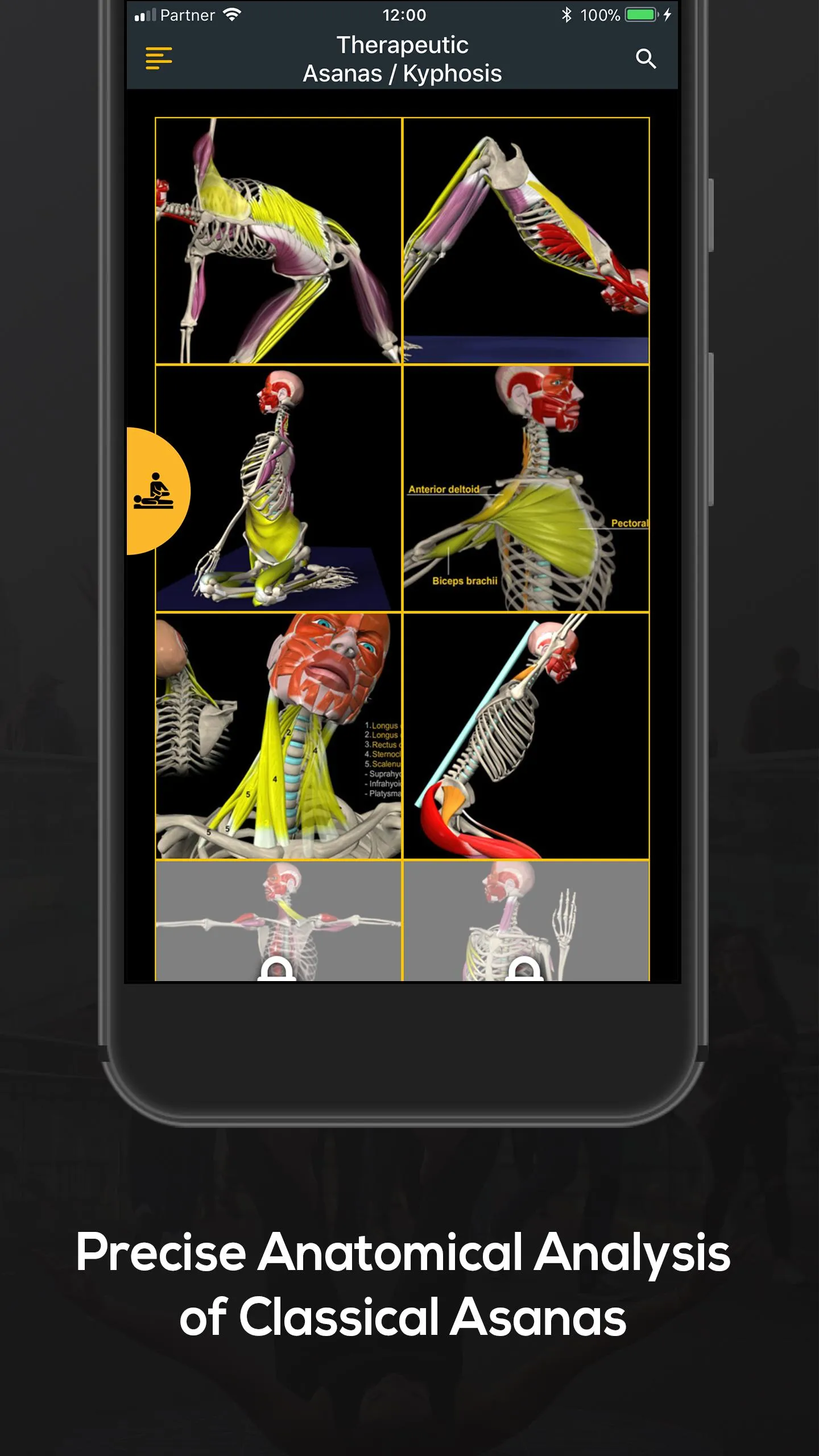 Yoga Anatomy | Indus Appstore | Screenshot