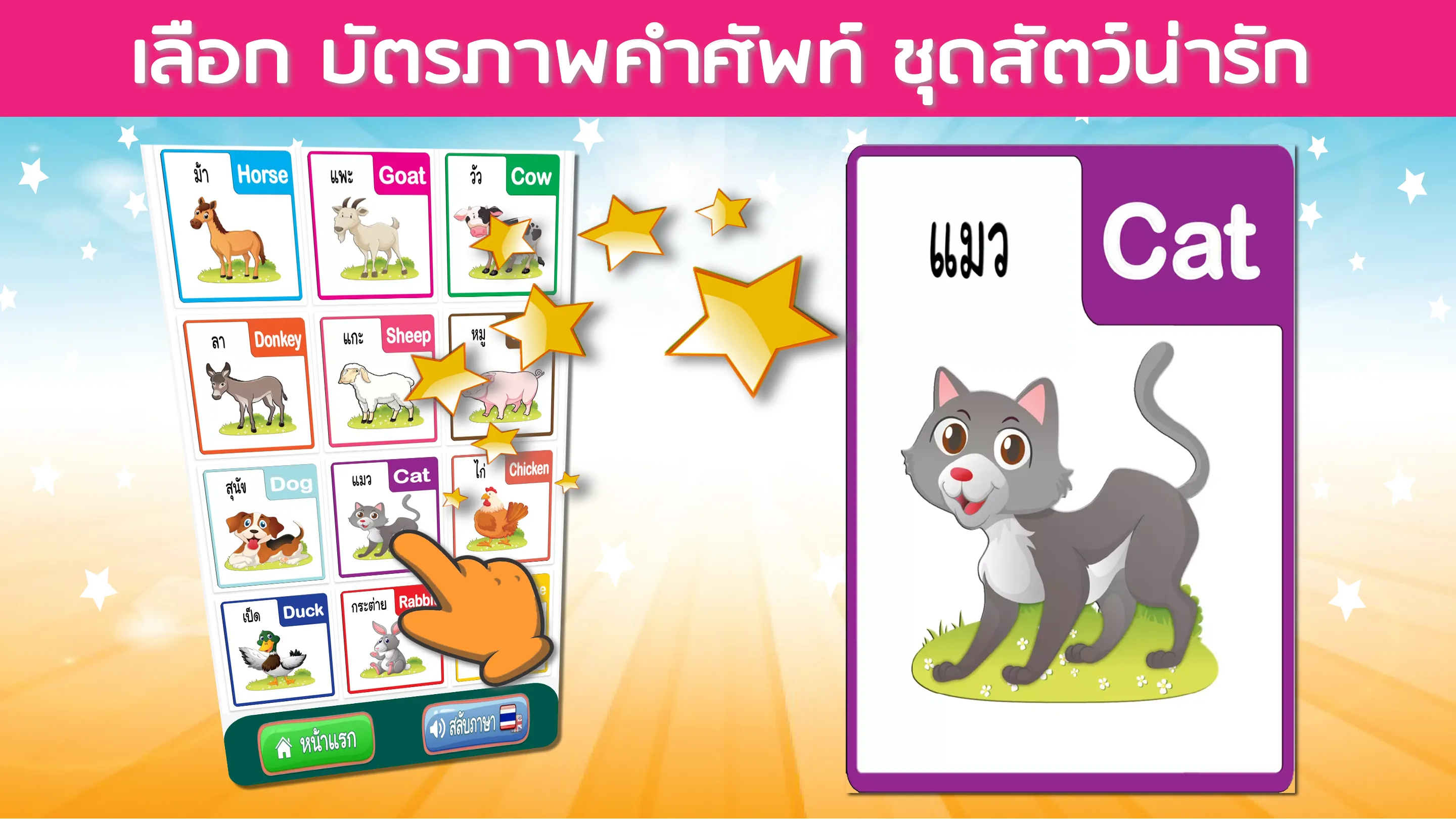 บัตรคำศัพท์ สัตว์ ผลไม้ รูปทรง | Indus Appstore | Screenshot