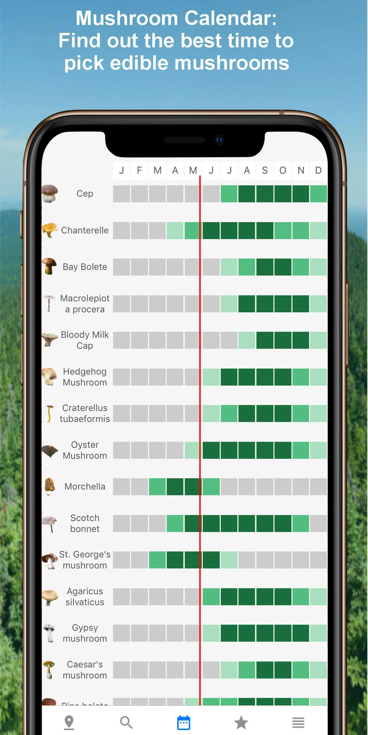 Mushroom Identify - Automatic  | Indus Appstore | Screenshot