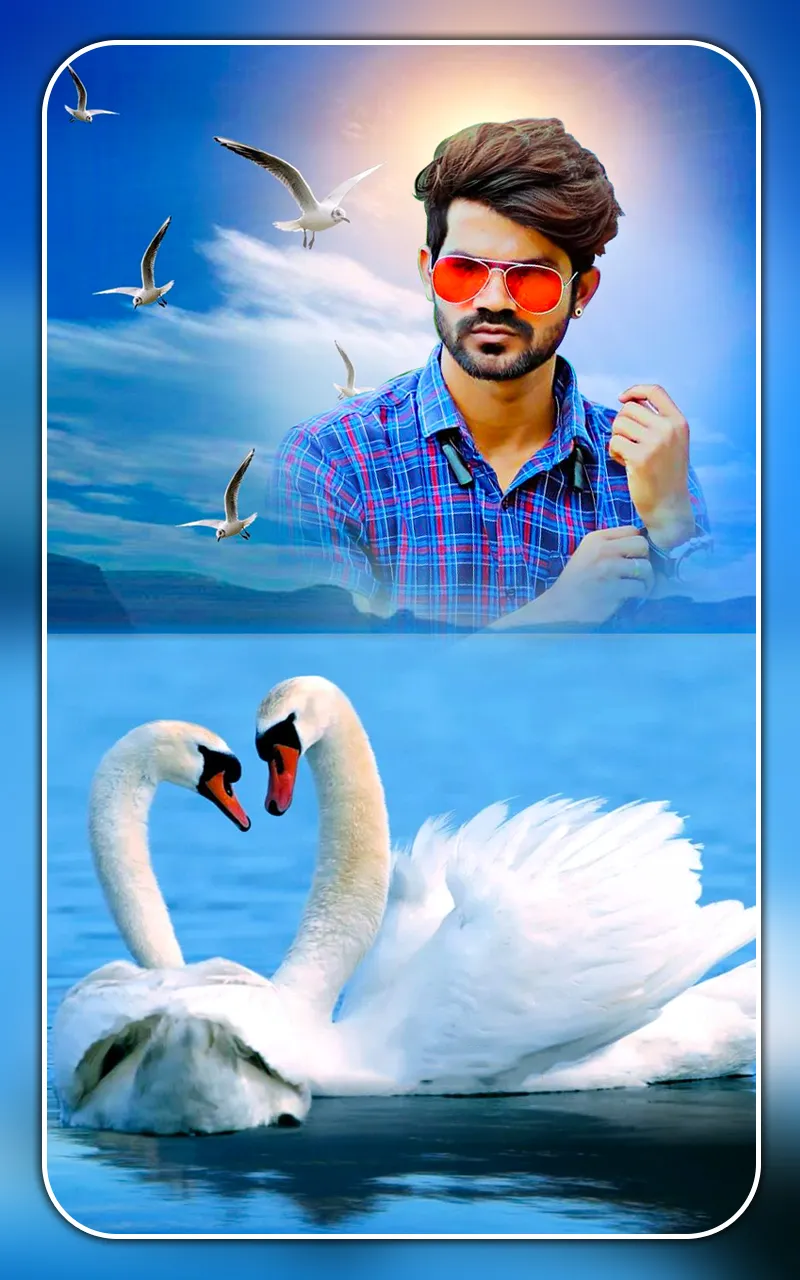 Bird photo editor and frames | Indus Appstore | Screenshot