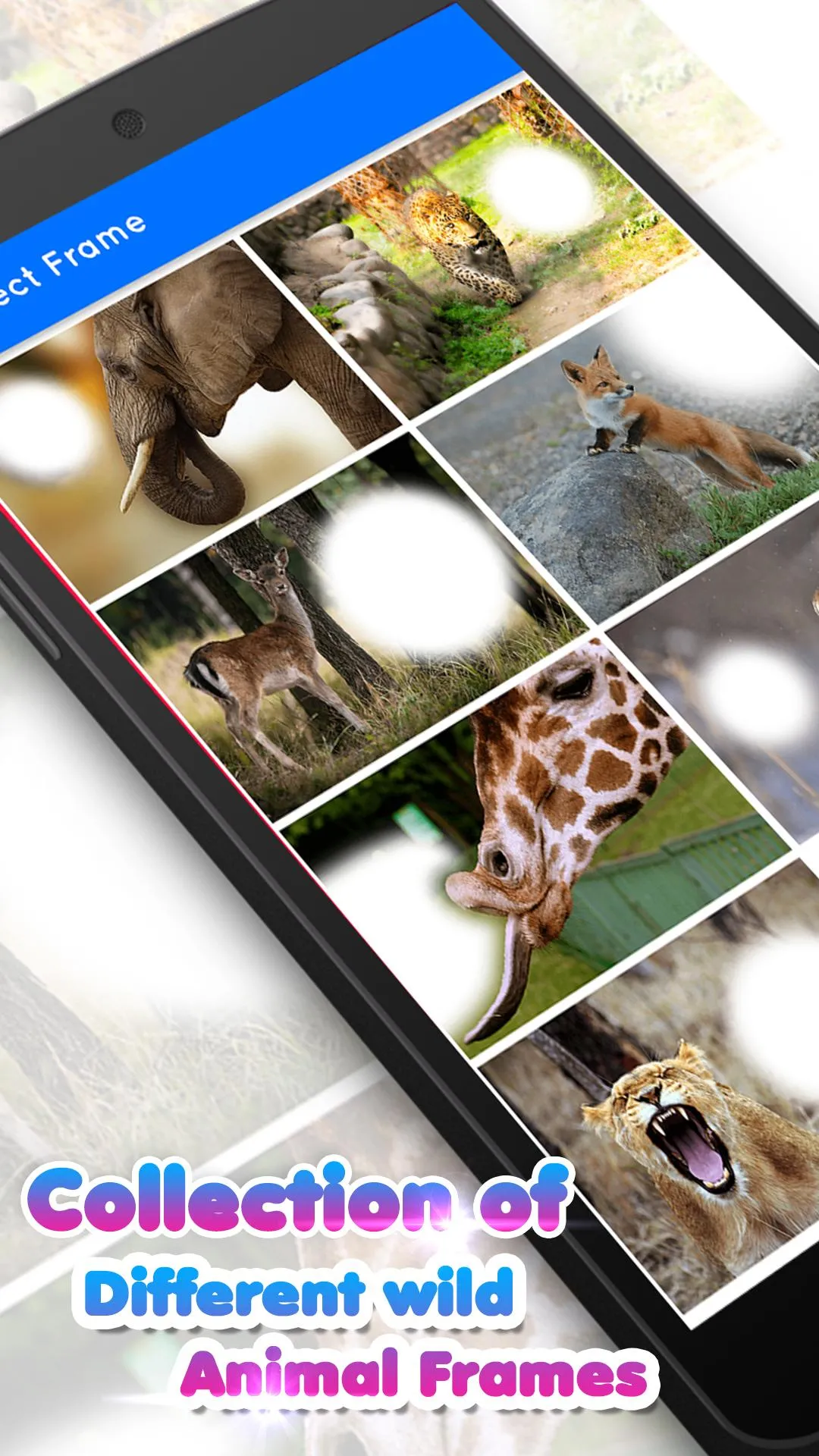 Wild Animal Photo Frame | Indus Appstore | Screenshot