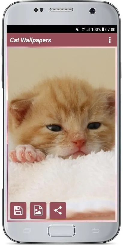 CUTE CAT WALLPAPERS | Indus Appstore | Screenshot