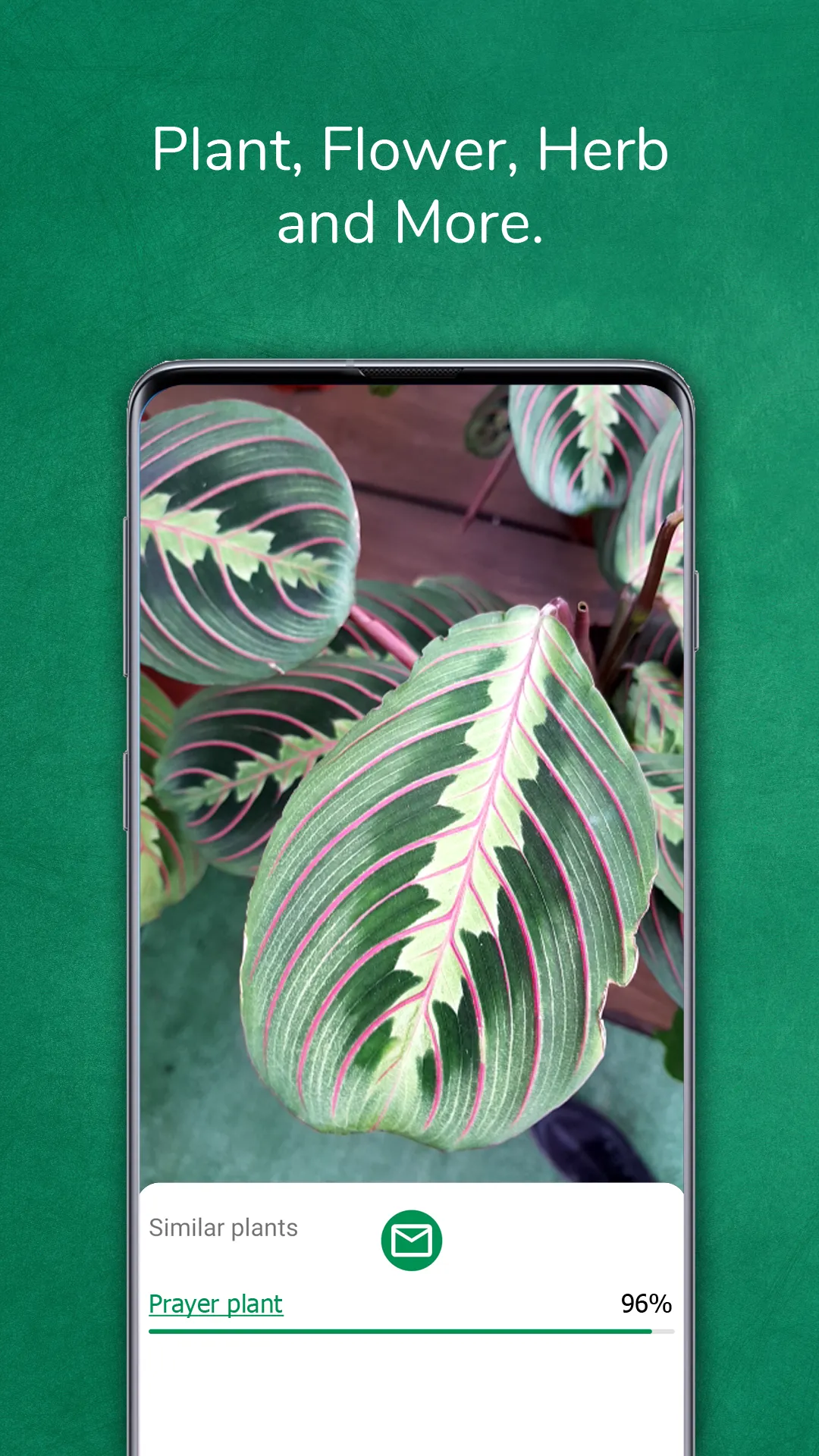 Plant identifier from photo | Indus Appstore | Screenshot