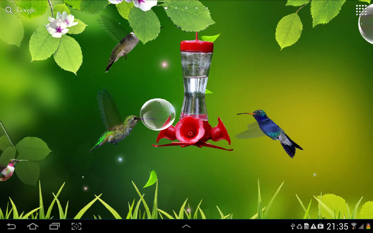 Hummingbirds wallpaper | Indus Appstore | Screenshot