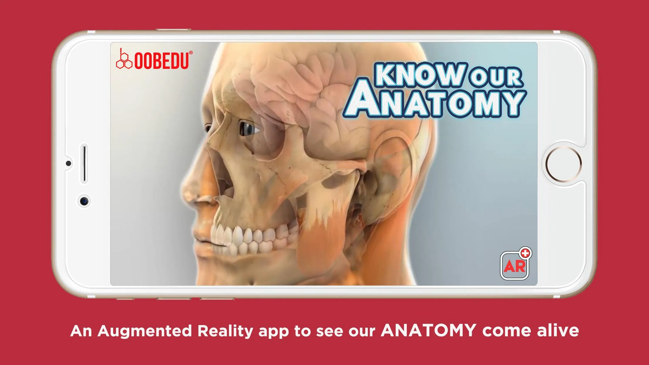 Know our Anatomy by OOBEDU | Indus Appstore | Screenshot