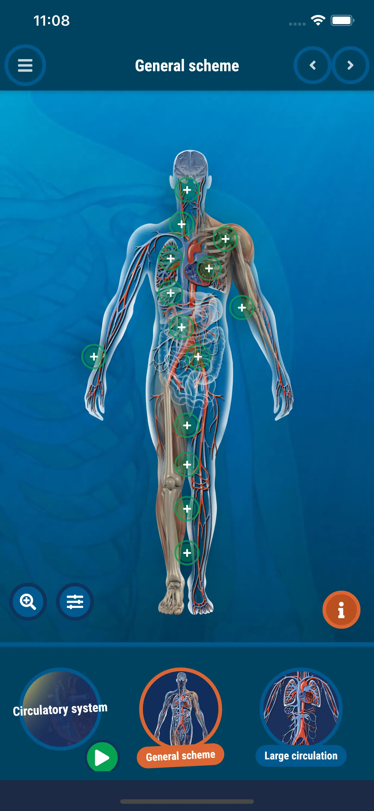 The Human Body | Indus Appstore | Screenshot