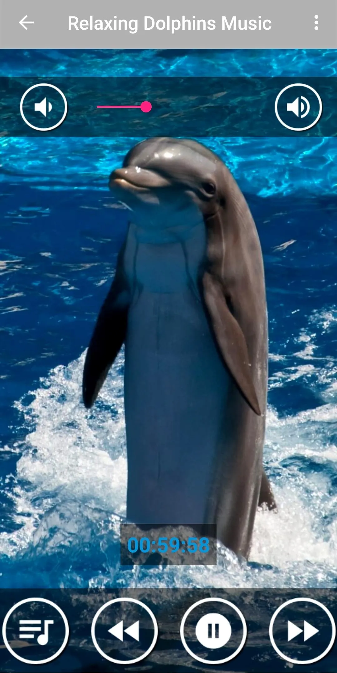 Dolphin Sounds to Sleep | Indus Appstore | Screenshot