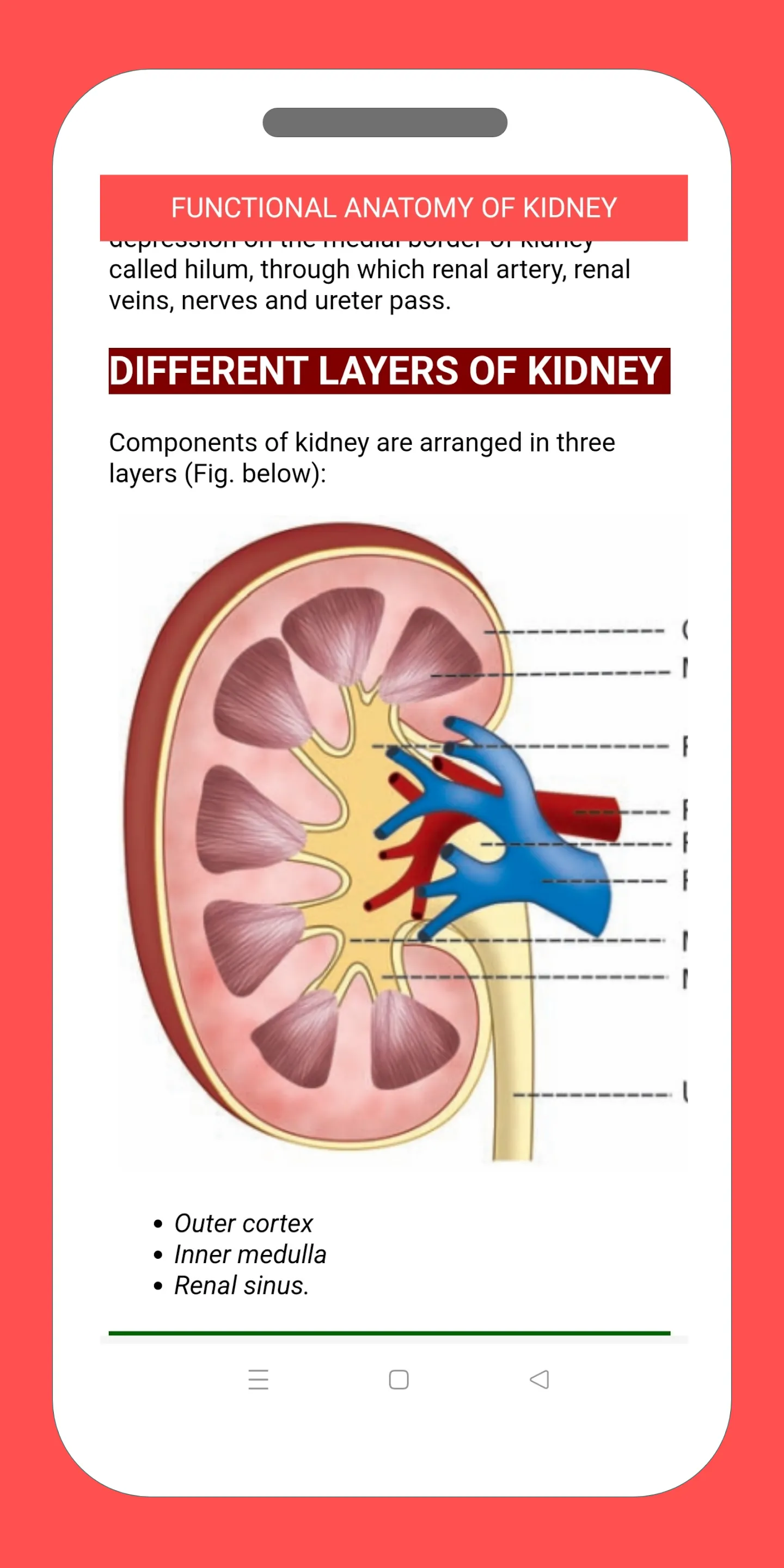 Renal  and Skin Physiology | Indus Appstore | Screenshot