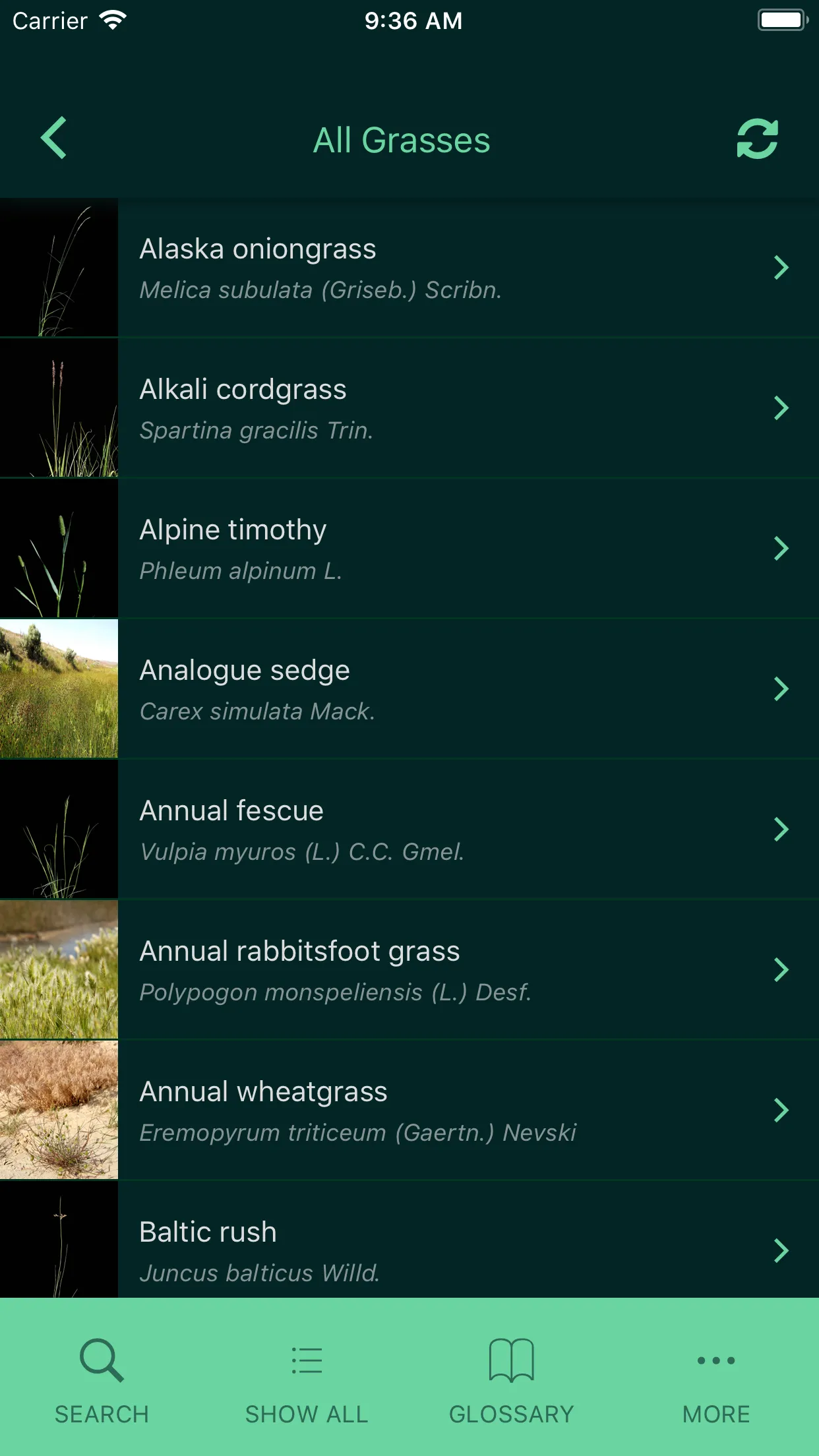 Idaho Grasses | Indus Appstore | Screenshot