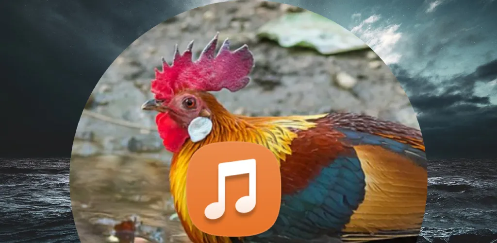 Red Junglefowl Sounds HD | Indus Appstore | Screenshot