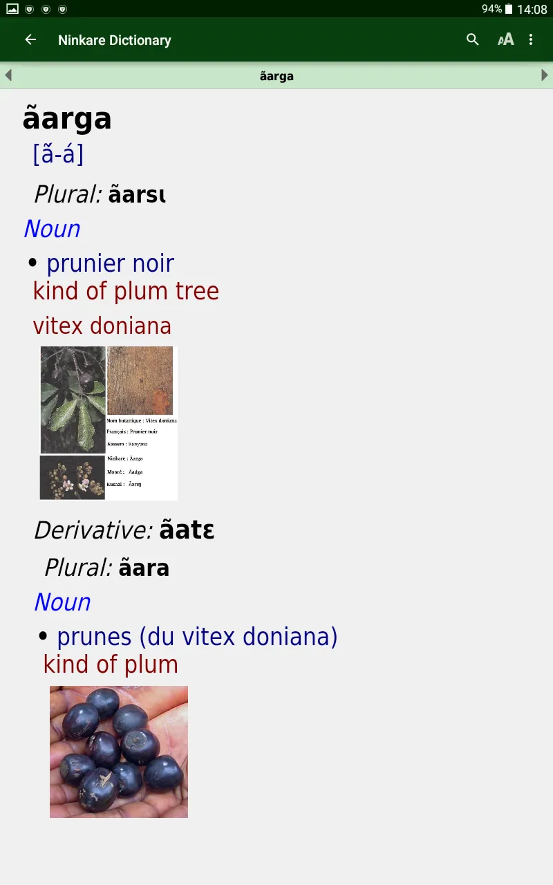 Dictionnaire Ninkare | Indus Appstore | Screenshot