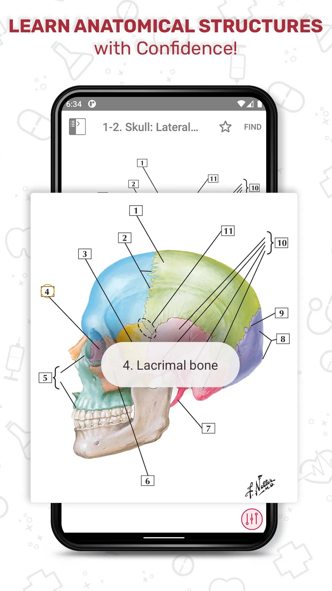 Netter's Anatomy Flash Cards | Indus Appstore | Screenshot