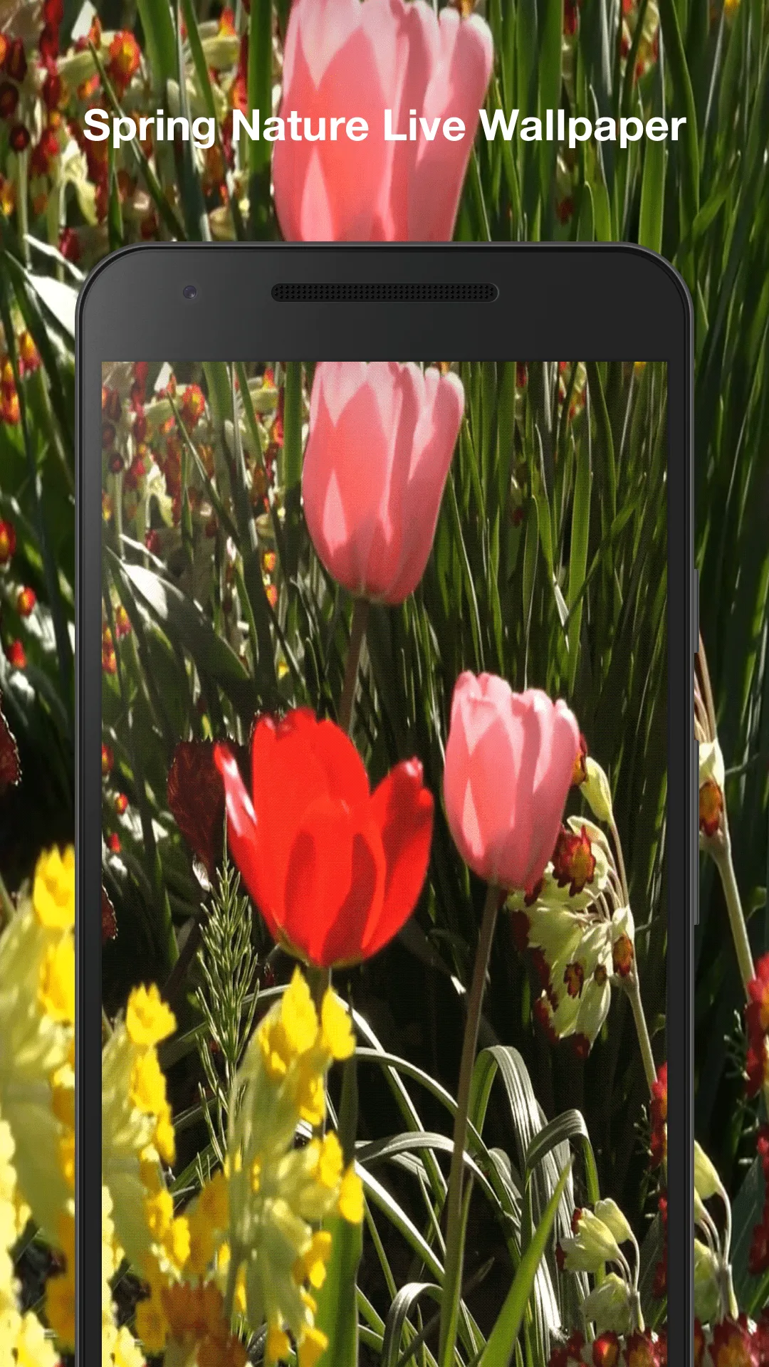 Spring Nature Live Wallpaper | Indus Appstore | Screenshot