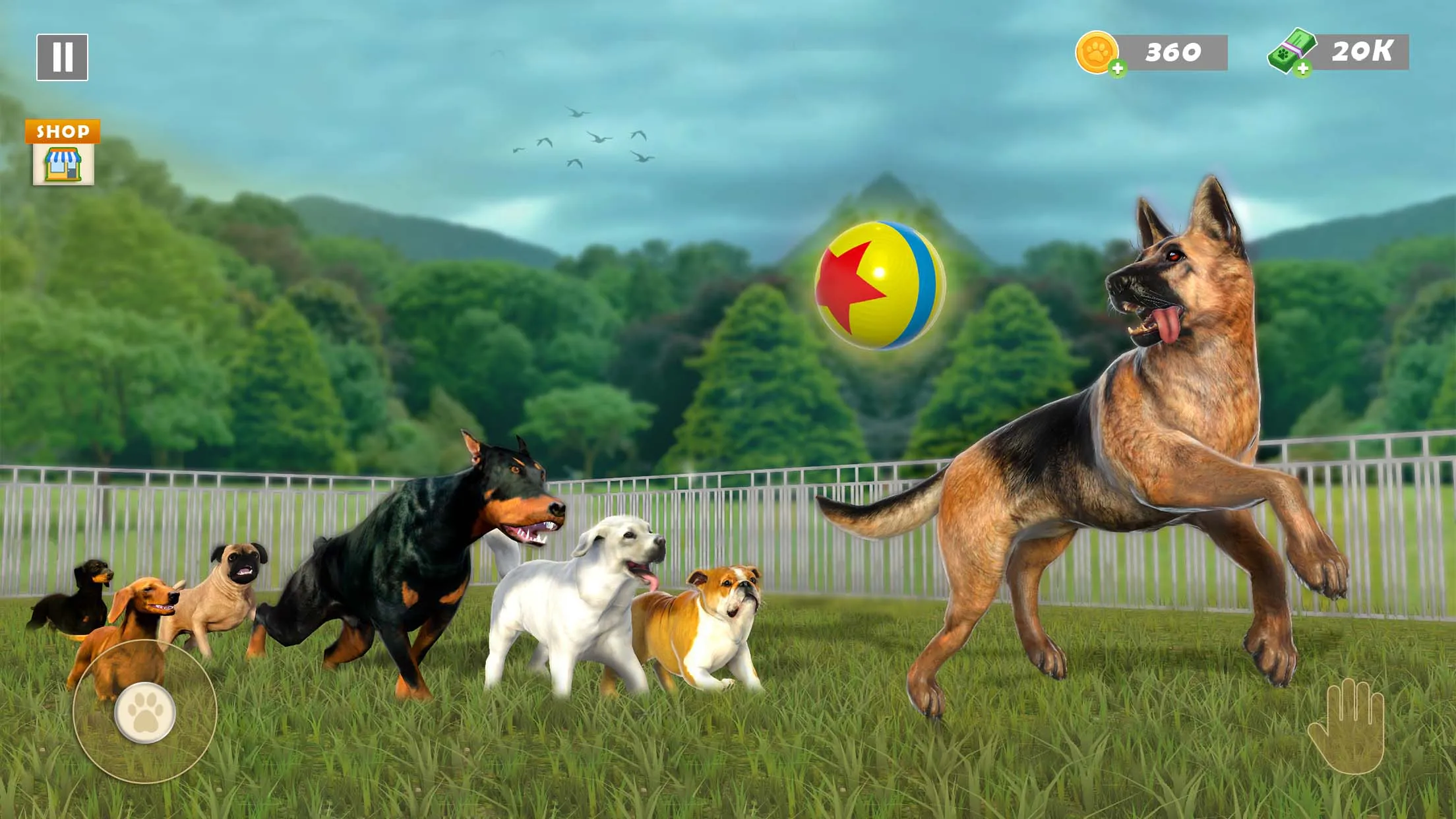 Animal Shelter Pet Rescue Game | Indus Appstore | Screenshot