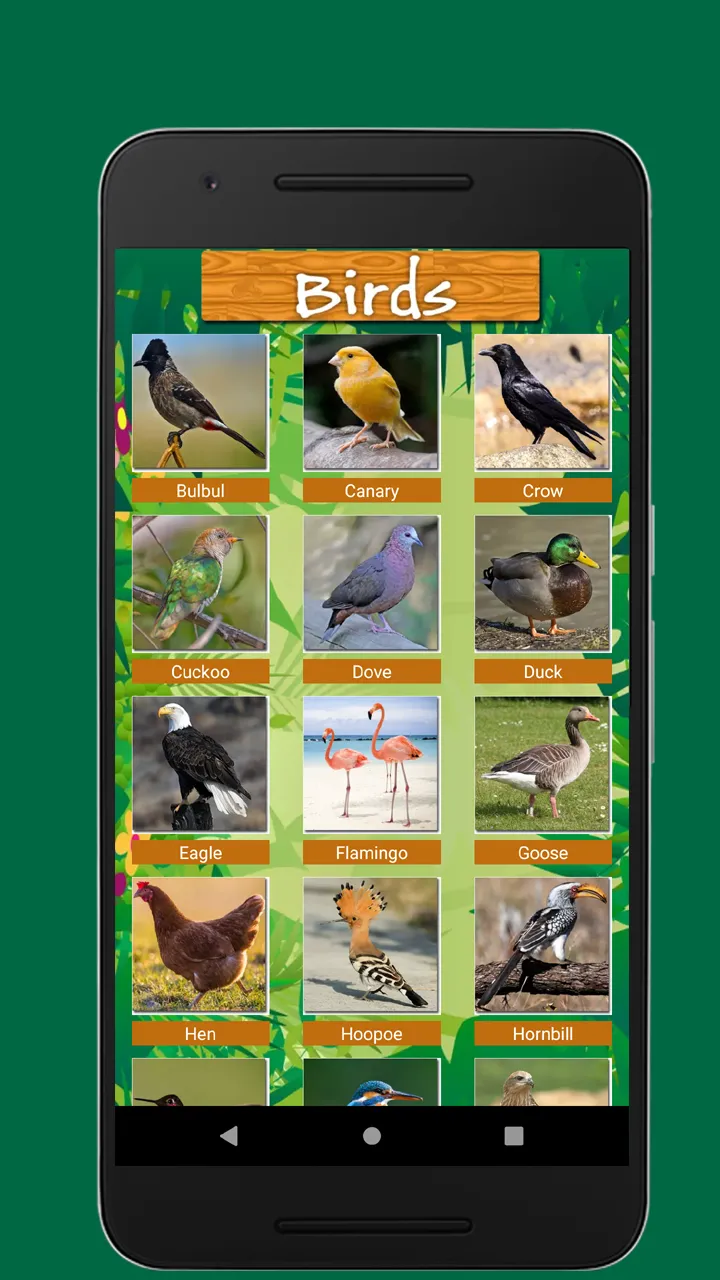 Birds & Animal Sounds | Indus Appstore | Screenshot