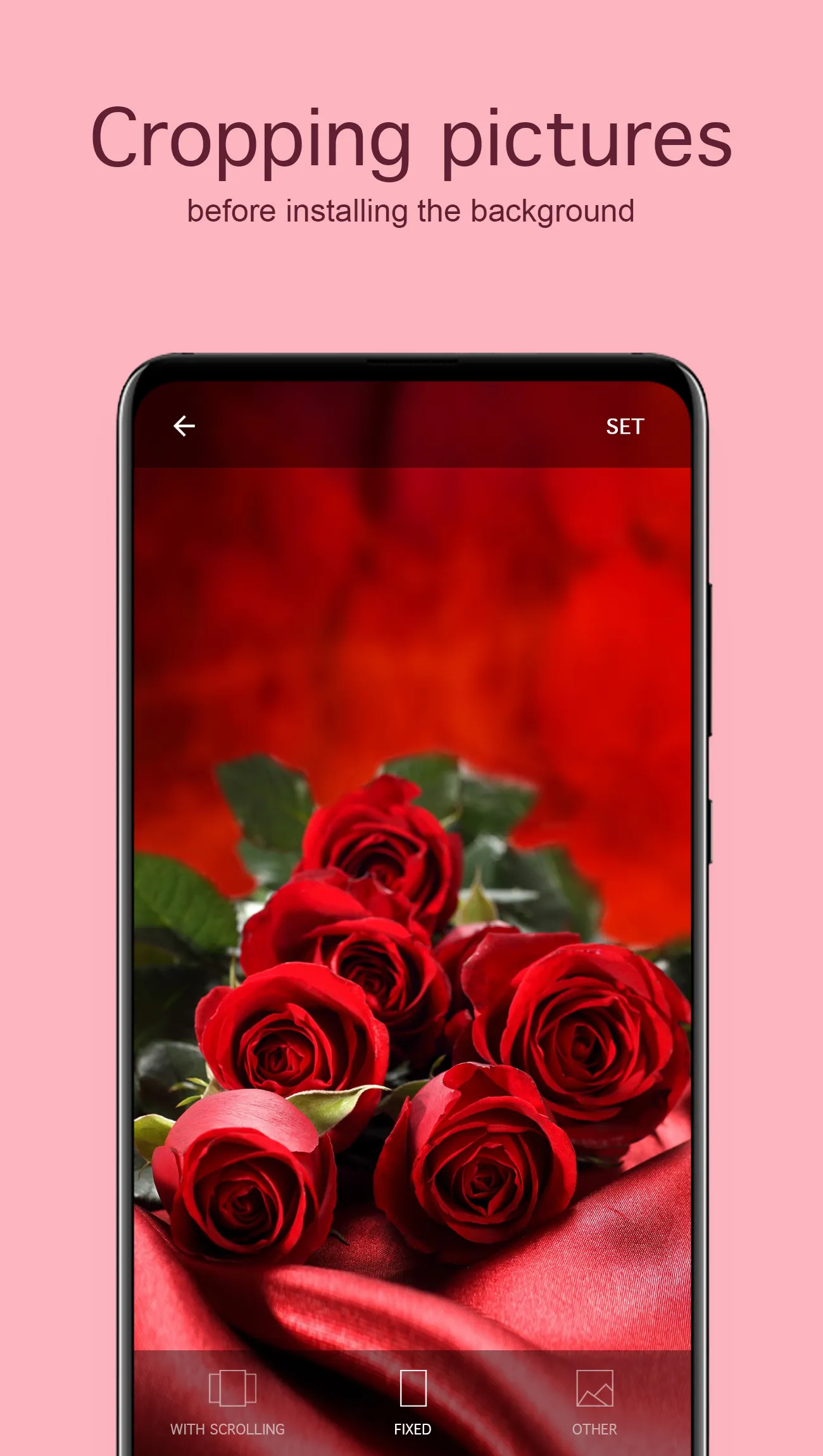 Rose Wallpapers 4K | Indus Appstore | Screenshot