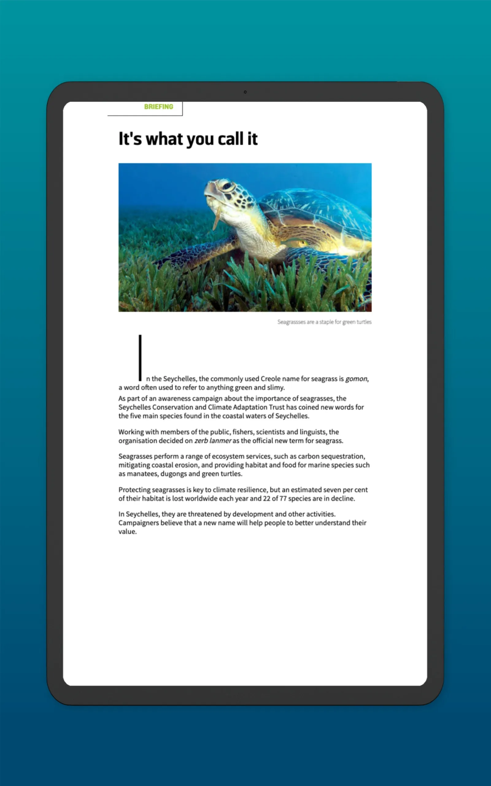 DIVE Magazine | Indus Appstore | Screenshot