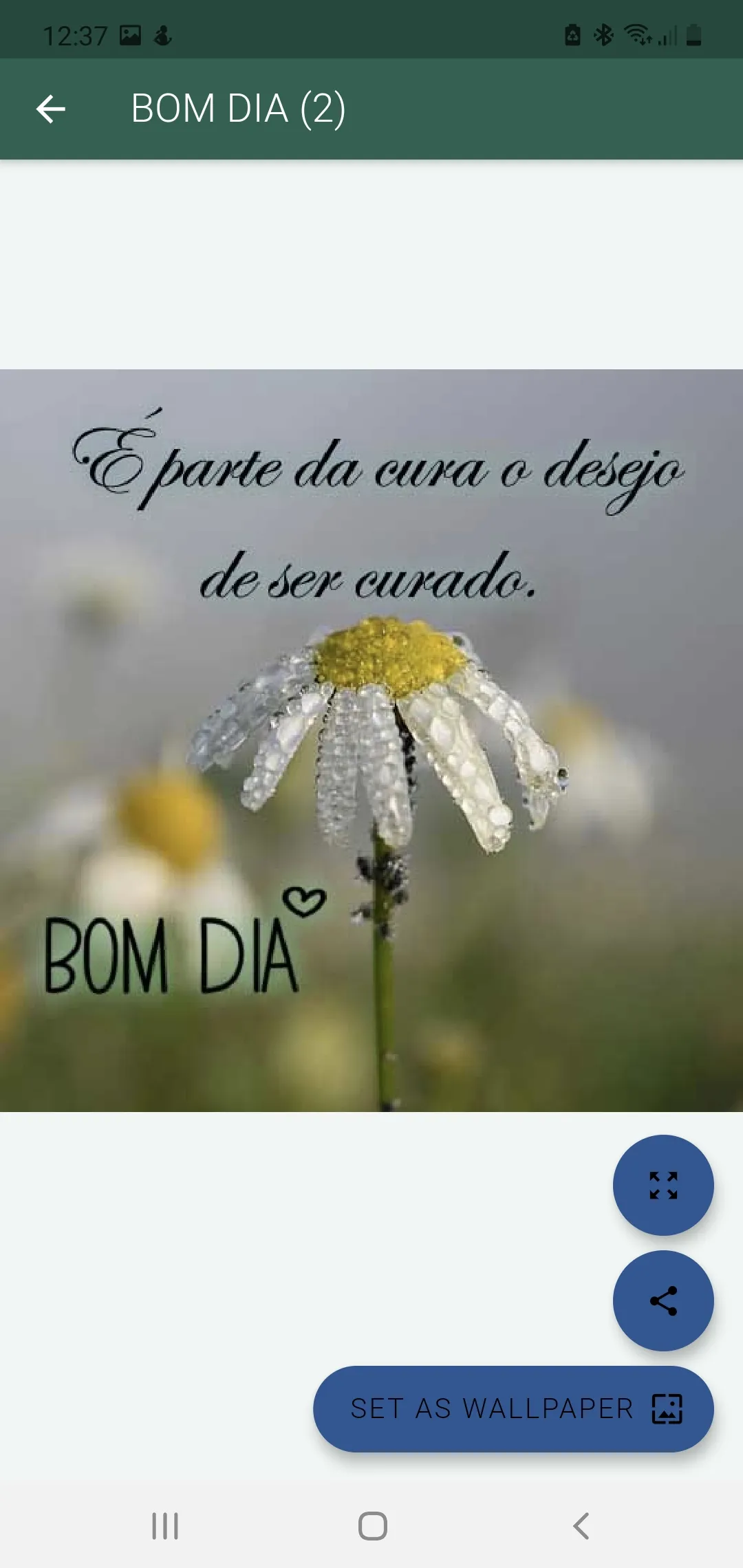 DIA MARAVILHOSO TARDE E NOITE | Indus Appstore | Screenshot