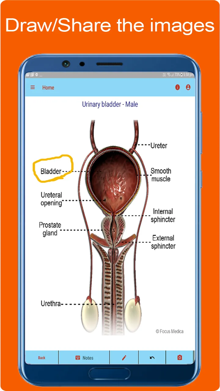 Silodal - Atlas of Urology | Indus Appstore | Screenshot