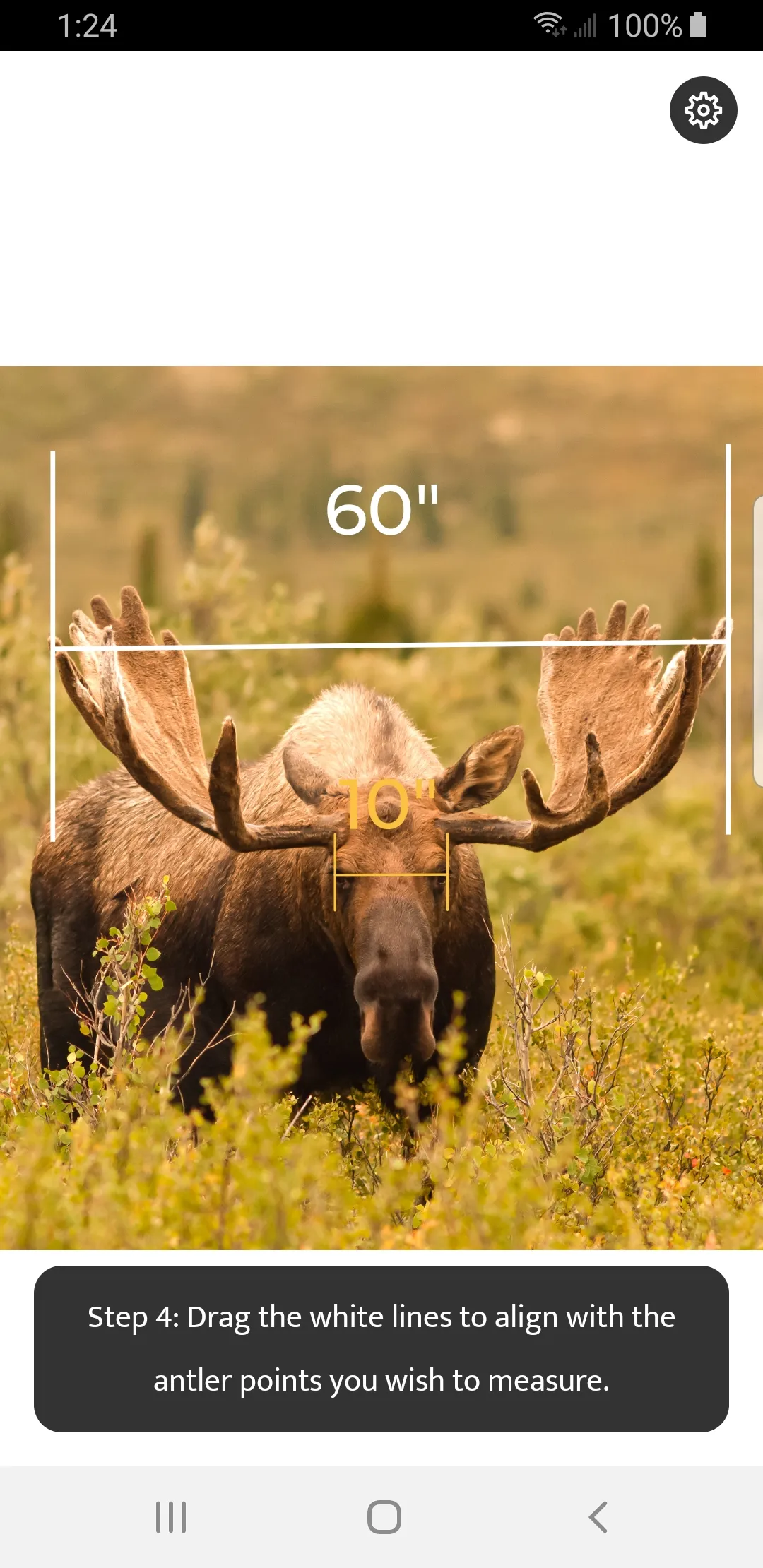 Moose Gauge | Indus Appstore | Screenshot