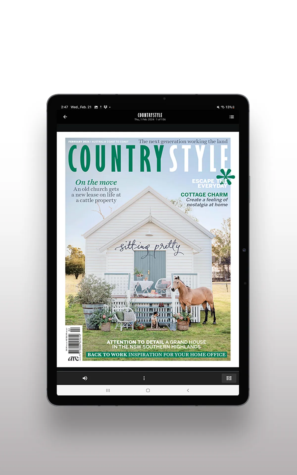 Country Style | Indus Appstore | Screenshot