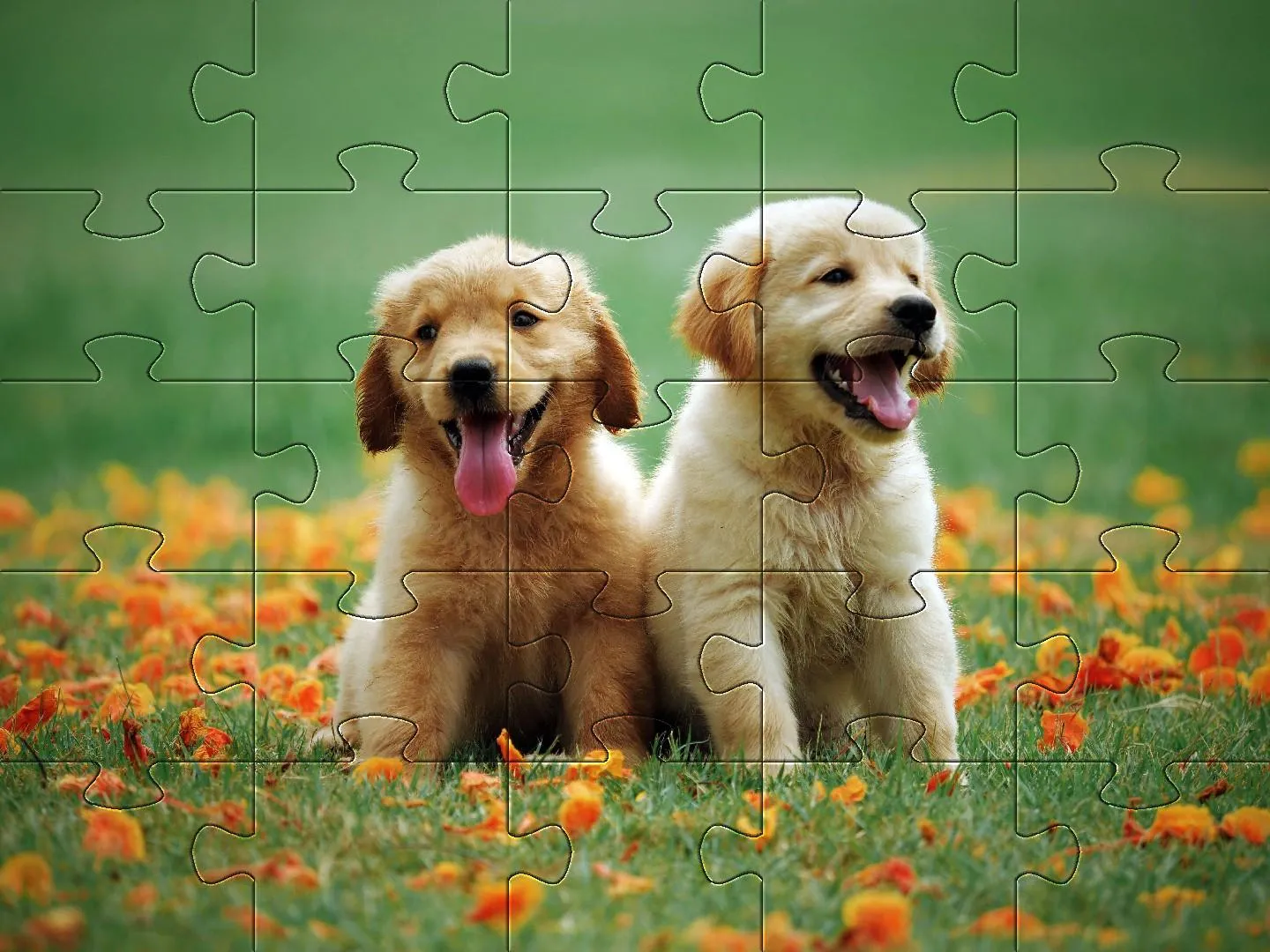 Puppies Jigsaw Puzzles | Indus Appstore | Screenshot