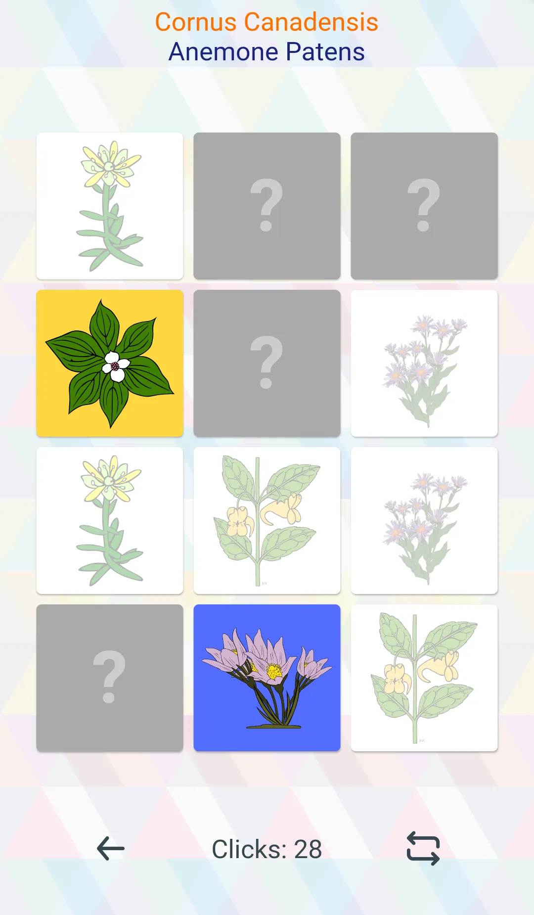 Find pair. Improve your memory | Indus Appstore | Screenshot