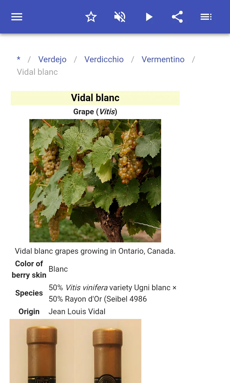 Grape varieties | Indus Appstore | Screenshot