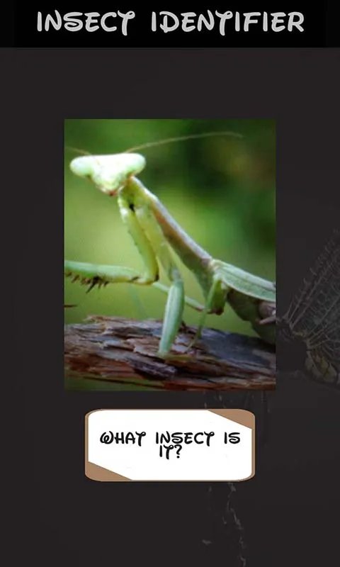 Automatic insect identifier | Indus Appstore | Screenshot