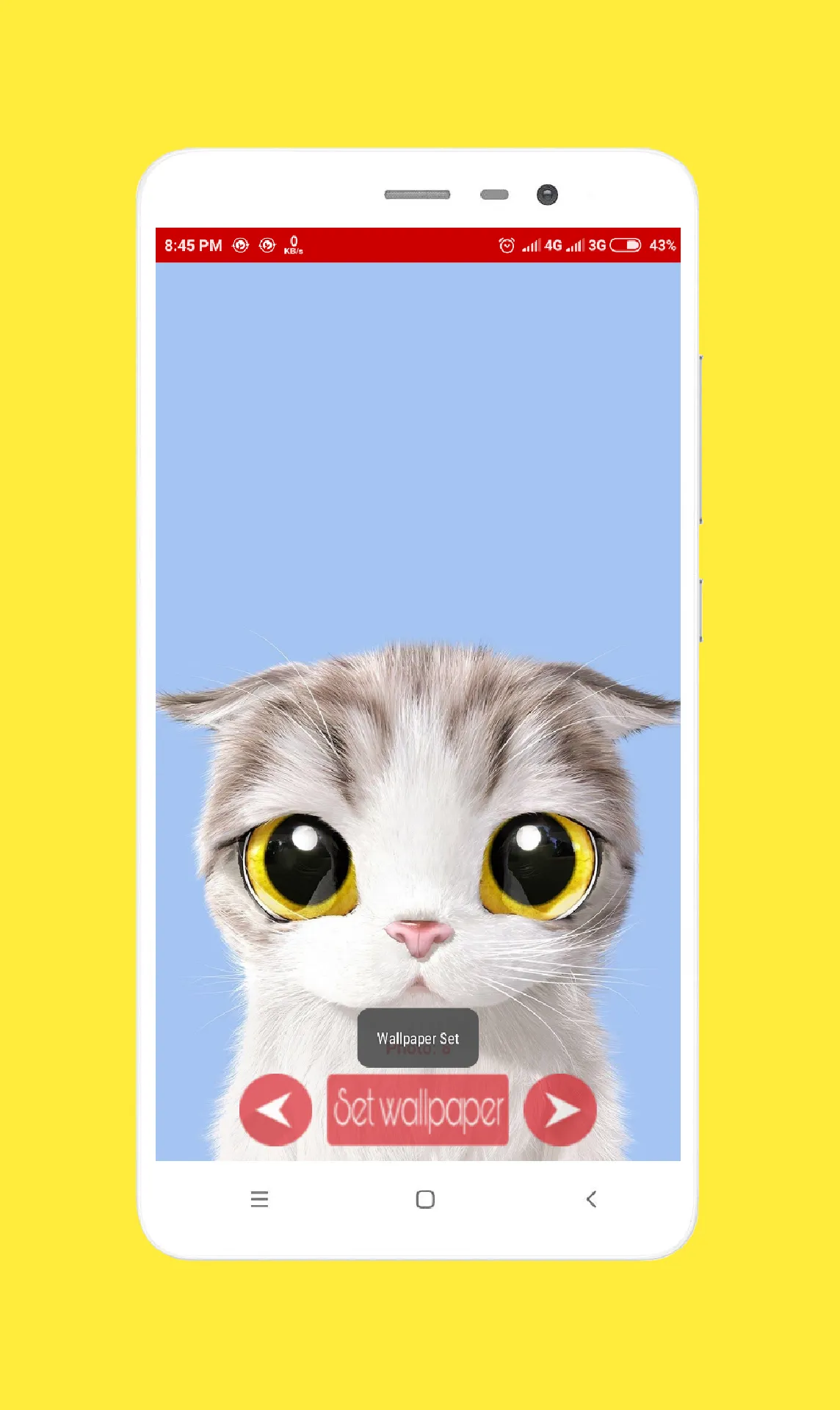 Cats Wallpaper HD | Indus Appstore | Screenshot