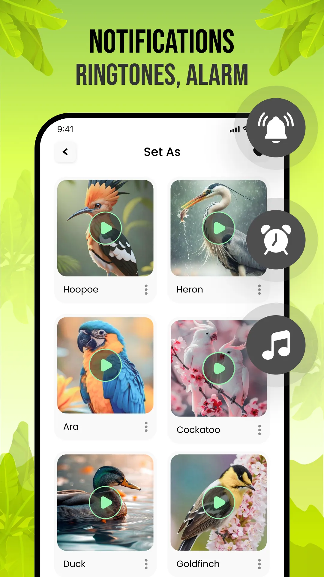 Birds Sounds | Indus Appstore | Screenshot