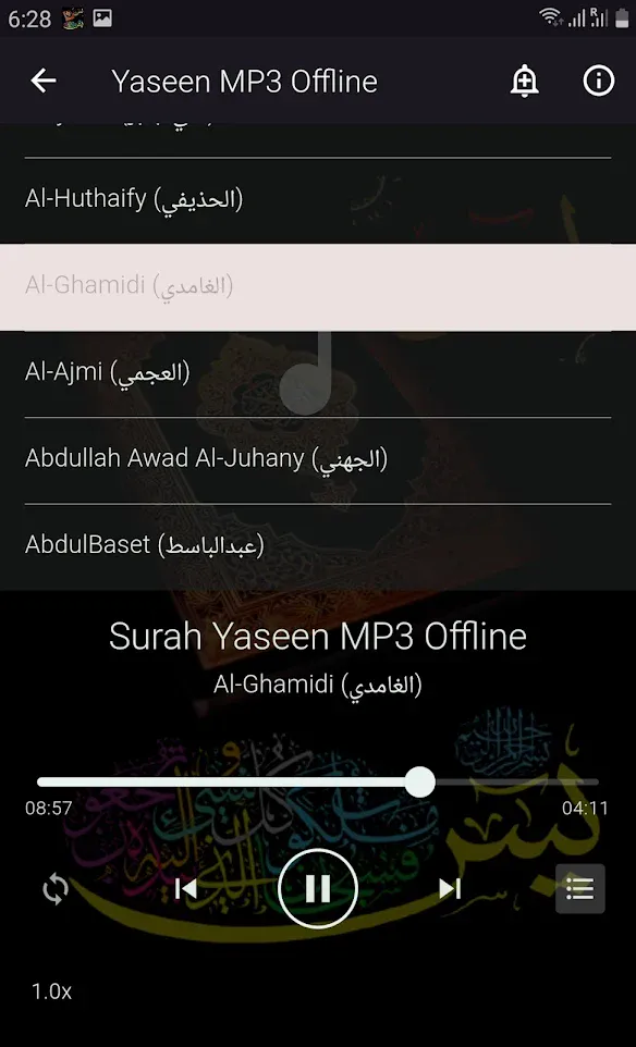 Yaseen MP3 Offline | Indus Appstore | Screenshot