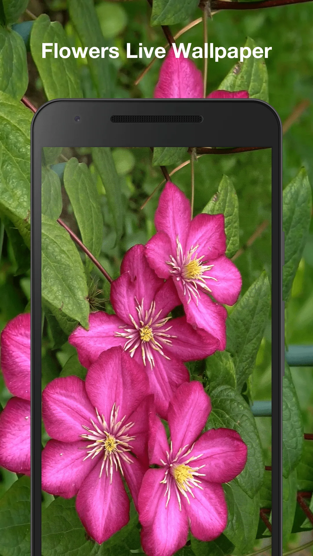 Flowers Live Wallpaper | Indus Appstore | Screenshot